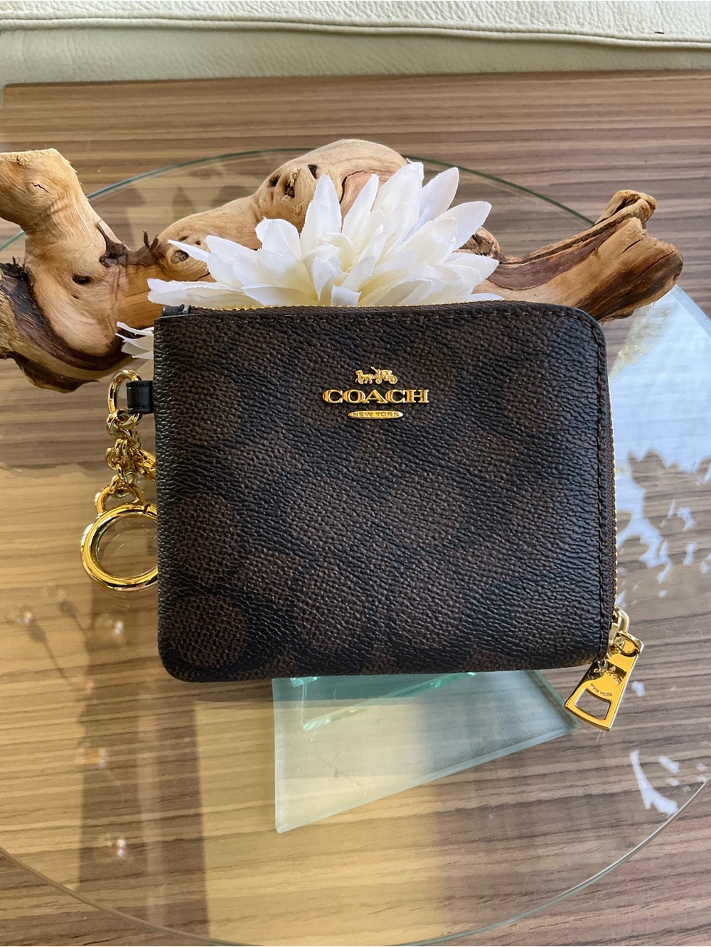 Coach Dark Brown Signature Zip Coin Pouch with Gold Hardware